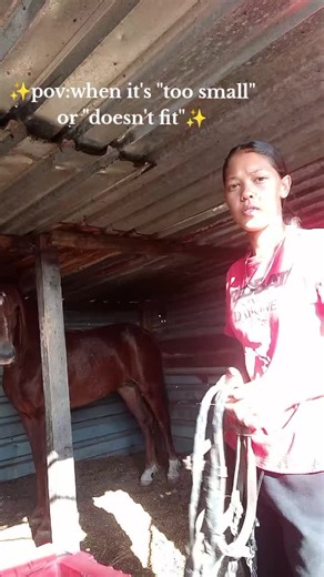 Horse Bridle Fitting Tips for Optimal Comfort