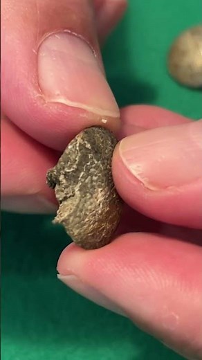 German button with bullet hole - WWII exhumations