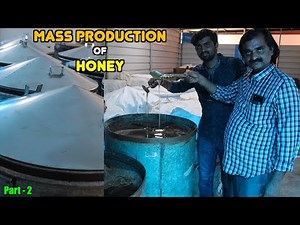 Honey Mass Production(20000 KG) Process | How to Store Honey For a Year? Complete Video of Honey - 2