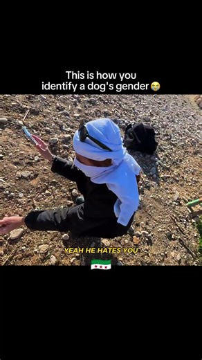 How to identify a dog’s gender 😂