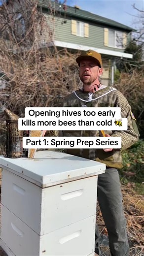 Early spring is when many colonies are accidentally harmed by well-intentioned inspections. Bees maintain brood at ~93°F inside the hive. Opening frames during cold weather disrupts that heat balance and can chill brood — weakening the colony right when it’s rebuilding. Our rule: Consistent ~50°F days in the forecast Active flight at the entrance Pollen coming in Then brief inspections are safe. Spring beekeeping isn’t about getting in as soon as possible. It’s about timing inspections to suppor