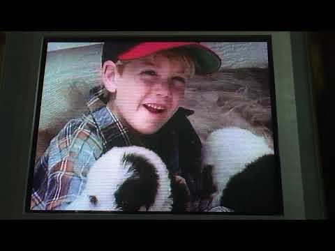 Opening To Fly Away Home 1996 VHS