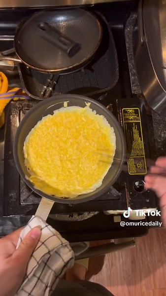 Overcooked Omurice Challenge | Daily Omurice Making for 70 Days
