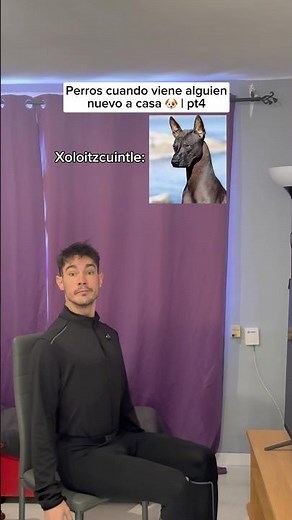 El último vive solo 🤣 #humorperros #humorviral #humormascotas #perrosderisa #memesdeperros