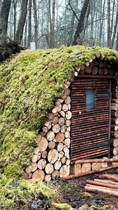 113K views · 1.7K reactions | A warm and comfortable survival shelter with a clay stove | The Dream Weaver | Facebook