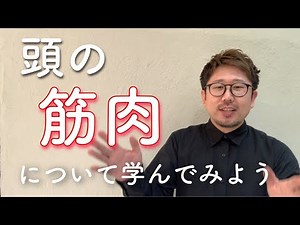 頭皮の筋肉について学ぶよ（前頭筋、側頭筋、後頭筋、棒状腱膜）