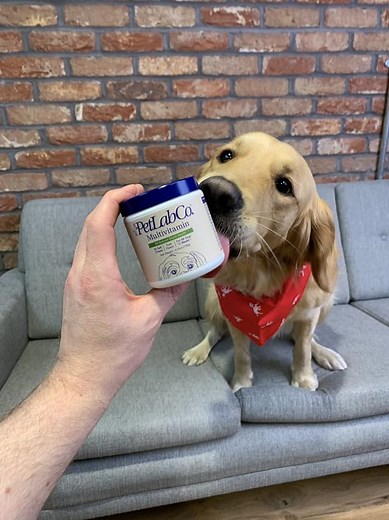3.5K views · 13 reactions | The Probiotics for Dogs by PetLab Co. has...