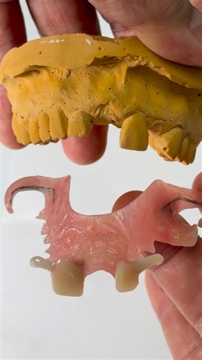 This is a partial for Dr. Cody Haas of Fairview Dental in Idaho | Luke Kahng