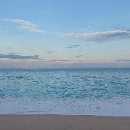 musick (@muzziick)’s videos with intro x chorus the night we met - ourfeelings🪐