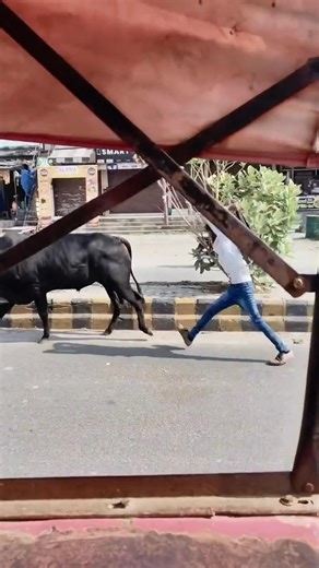 3.8K views · 11 reactions | God qiyaano ha qodin hadaa qodana ha dheerin oo muqaal ah #viral #trending #instagram #travelphotography #viralreels #travel #funny | Abdirahman Qoranè | Facebook