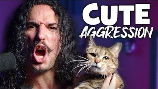 Cute Aggression, A Heavy Metal Song for a Beloved Cat