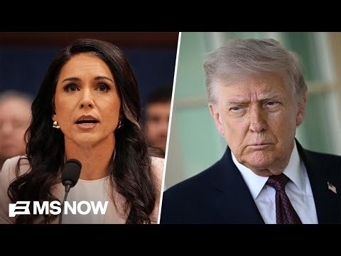 'The most JINGOISTIC, warmonger-esque administration': Trump stooges push retribution campaign