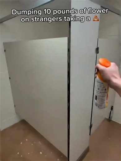 Toilet pranks😂😂😂#funny #prank #usa #viral #fyp