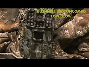 Bushnell SpotOnCombo low glow trail cam