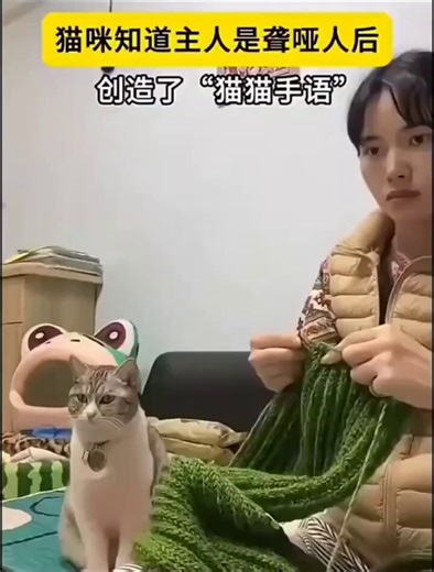 After the cat realized its owner is deaf and mute, it developed “cat sign language.”