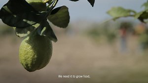 96 reactions · 12 shares | Imagine not being able to wash your hands before eating. That's what faces three quarters of the population of least developed countries who lack basic handwashing facilities. You can help change that today. | Islamic Relief USA | Facebook