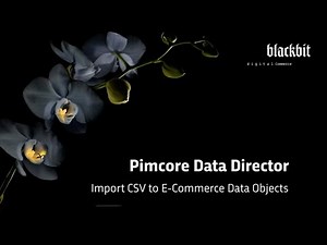 Pimcore Data Director: Import CSV to E-Commerce Data Objects