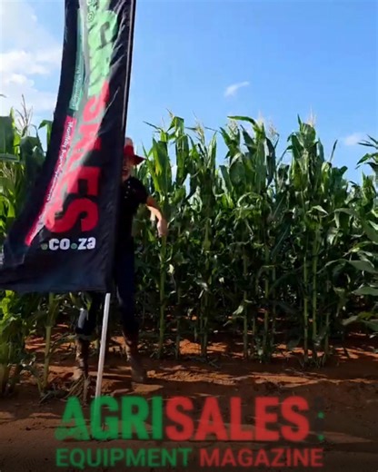 𝐀𝐝𝐯𝐞𝐫𝐭𝐢𝐬𝐞𝐫 𝐟𝐨𝐜𝐮𝐬: 𝐋𝐌𝐁 𝐂𝐡𝐢𝐚𝐧𝐢𝐧𝐚𝐬 LMB CHIANINA brings SA farmers the largest beef cattle breed in the world – pure Chianinas, originated from Italy, and known globally for their size, strength and exceptional beef potential. 🐂 Based in Nigel, LMB Chianinas is passionate about quality genetics and supporting producers who want to build resilient, high-performing herds. 📞 To find out more, contact (071) 020 4118. Our thoughts are with all farmers currently affected by Fo