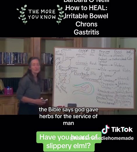 Healing Gastritis and Bowels with Barbara O'Neal