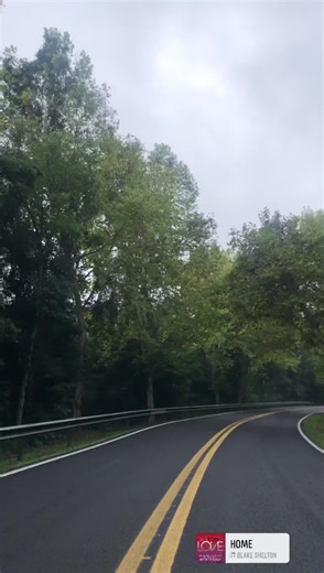 425K views · 27K reactions | Rota Romântica | Pela Serra Gaúcha | Facebook