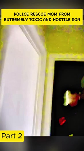 Police Intervention in Hostile Home Environment