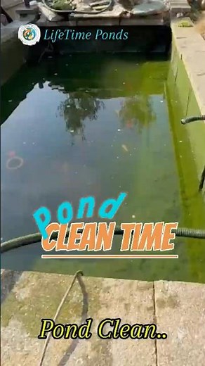 Pond Cleaning Times, Its that time again to Spring Clean..