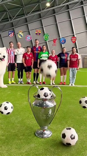 #football #soccer #funny #challenge #championsleague #music #hiphop