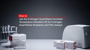 How to calibrate incubators for the Invitrogen QuantiGene Singleplex and Plex Assays  - Scientific Videos | Thermo Fisher Scientific US