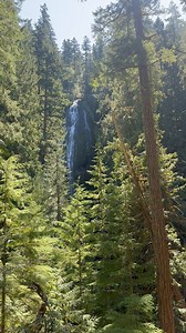 2.7K views · 93 reactions | Proxy Falls #Oregon #hikingtrails #waterfall | McKenzie River Drone Photography | Facebook