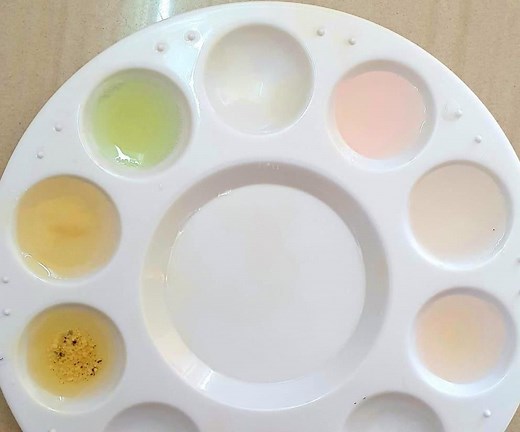 Onion Natural PH Indicator