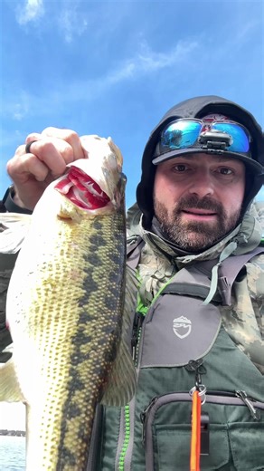 Ran into a BIG spotted bass today! Hope I can run into her again next weekend. #tournament #tournamentfishin @Bonafide LLC @CustomTackleSupply @Nocqua @Eco Fishing Shop