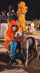 16K views · 1.8K reactions | Miguel y Dante Cosplay✨ Cr: instagram.com/sabryardore #coco #cosplay #movie #disneypixar #mexico #diademuertos #halloween #cosplayer #contentcreator #luccacomics #luccacg23 #kidcosplay #dogcosplay #dayofthedead #miguelcosplay | EZCosplay Costumes | Facebook