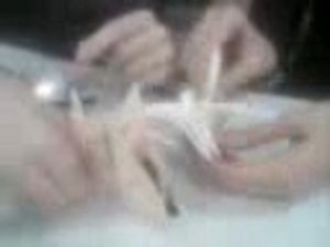 la repoduction cditale