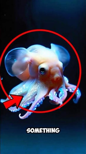 This “Cute” Deep Sea Creature Isn’t What You Think 😳 #weirdanimals #cuteanimals #nature