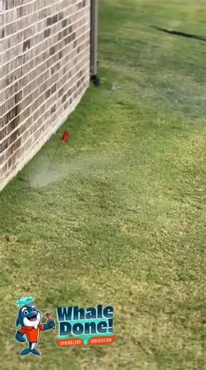 Healthy lawn starts with proper sprinkler repair 🌱💦 #SprinklerRepair #HealthyLawn #LawnCare #HomeMaintenance #Irrigation