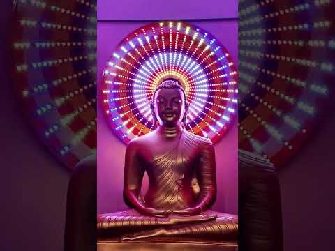 1050 PIXEL LED WS2812B Programming | led matrix studio | Arduino වෙසක් සැරසිලි | බුදුරැස් මලා