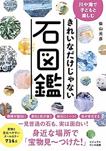 NHK「チコちゃん」に出演した水切りの元世界チャンピオン、橋本さんのスーパープレイ - なつみかん＠はてな