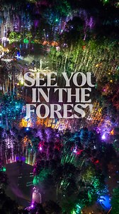 Venture into Electric Forest on June 25-28, 2026.🌲 Passes On Sale NOW!✨ | Insomniac Events