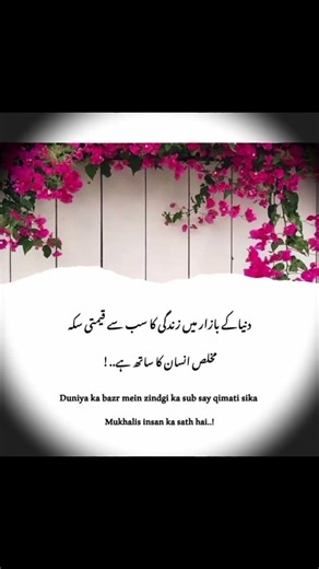 --- ⏸️ PAUSE FOR A BLESSING ⏸️ ---Don't scroll Recite Darood Shareef Once ✨JazakAllah 🍀💚🍀