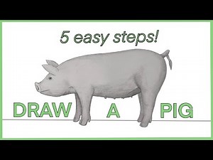 Draw a realistic PIG