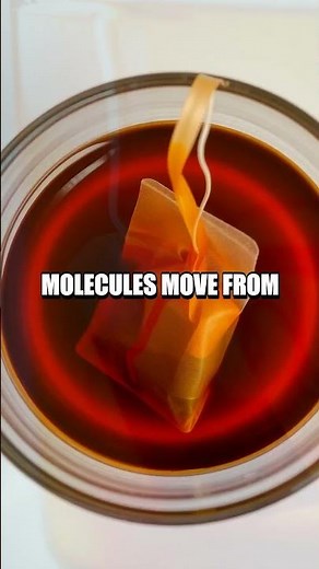 Exploring the Diffusion of Water with Tea Bags