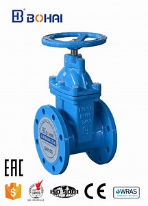 [Hot Item] Rising Stem Resilient Seat Flanged Gate Valve