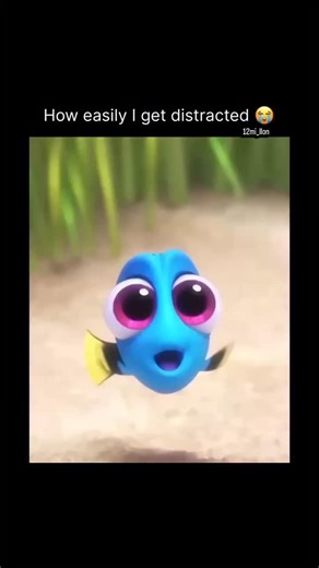 12_millon_movie_clip on Instagram: "This scene was so cute 🥹❤️ Movie: Finding Dory (2016) is the heartwarming and hilarious sequel to Finding Nemo (2003), created by Pixar. This time, the spotlight’s on everyone’s favorite forgetful blue tang, Dory. After a sudden memory flash, Dory remembers she has a family—and sets out across the ocean to find them. With help from Marlin and Nemo, she travels to the Marine Life Institute in California, where she meets new friends like: • Hank – a grumpy, cam