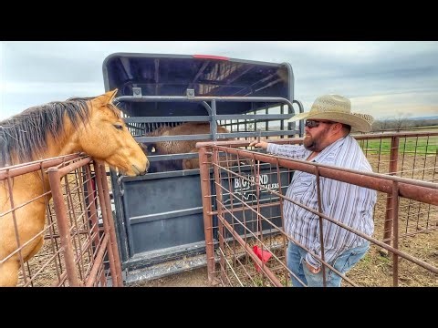 Peanut Was Sneaky, But He Had To Go!