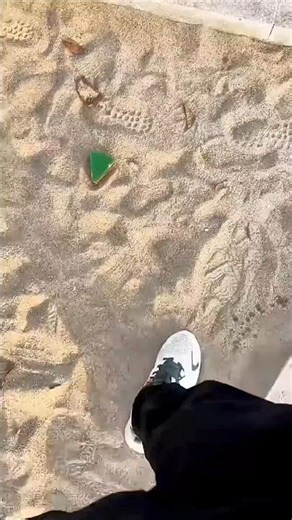 He mistook poop for pizza #shorts #viralshorts