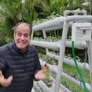 Hidrohuerto piramidal para fresas. Aprende a cultivar 132 fresas en espacio reducido de 2m2. Ademas cultiva todos los vegetales de hoja. | Hidropónika