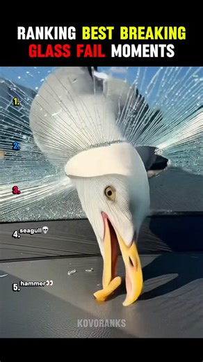 Ranking Best Breaking Glass Fail Moments 😭💀