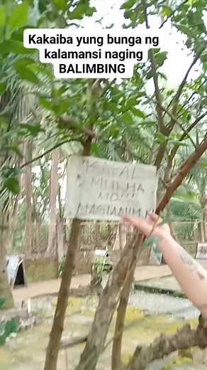 18 reactions · 14 comments | Magtanim din kasi kayo | Lyn Padero | Facebook