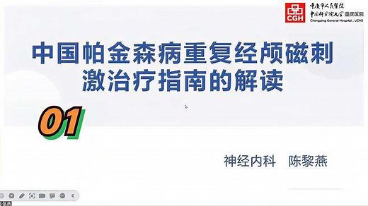 中国帕金森病重复经颅磁刺激治疗指南的解读