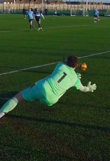 Access Denied: The Art of Goalkeeping Saves